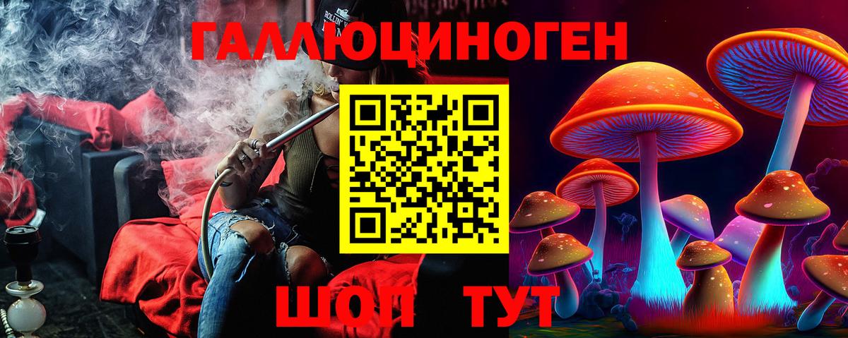 Галлюциногенные грибы GOLDEN TEACHER  Псилоцибиновые грибы Psilocybe  Вход с VPN  Волгодонск 
