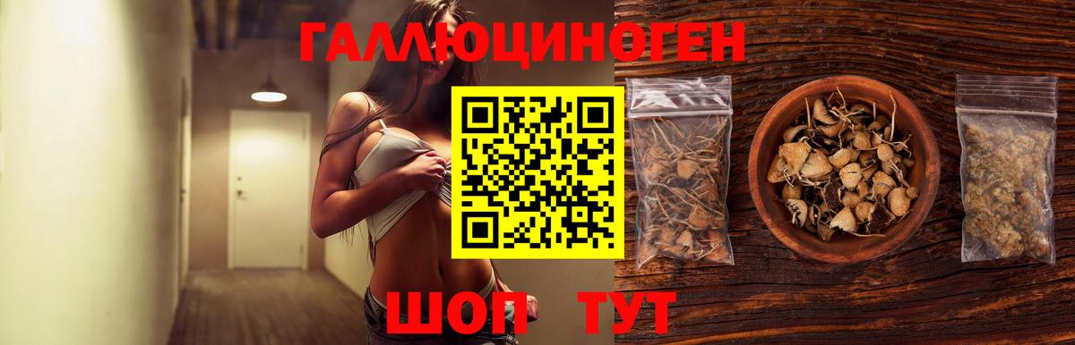 Галлюциногенные грибы GOLDEN TEACHER Волгодонск